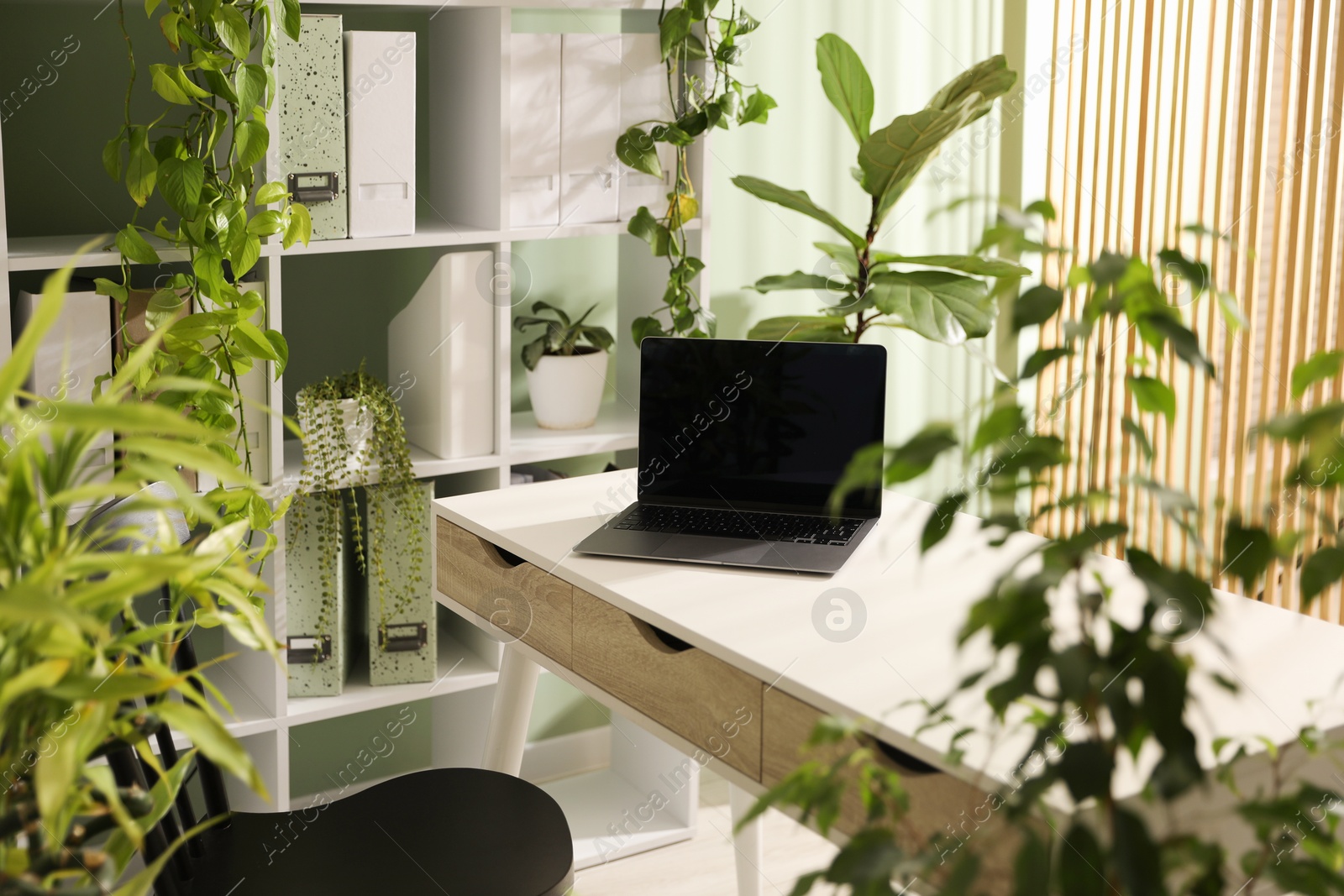 Biophilic interior design. Stylish workplace with laptop and houseplants in office Photo of Biophilic interior design. Stylish workplace with laptop and houseplants in office