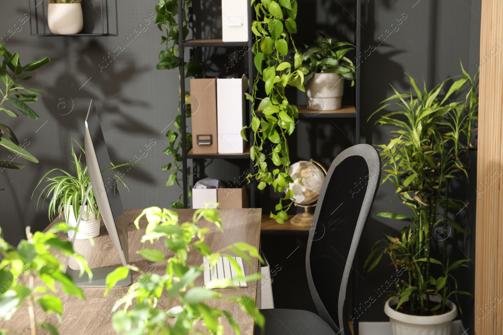 Biophilic interior design. Stylish workplace with computer and houseplants in office Photo of Biophilic interior design. Stylish workplace with computer and houseplants in office