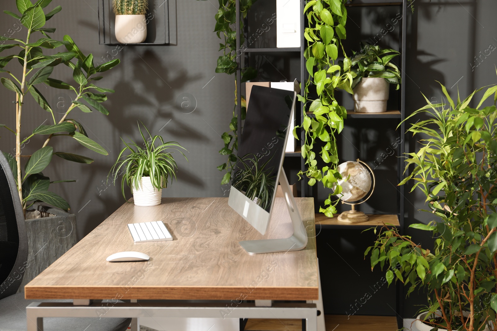 Biophilic interior design. Stylish workplace with computer and houseplants in office Photo of Biophilic interior design. Stylish workplace with computer and houseplants in office