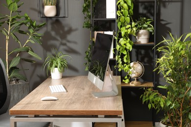 Photo of Biophilic interior design. Stylish workplace with computer and houseplants in office