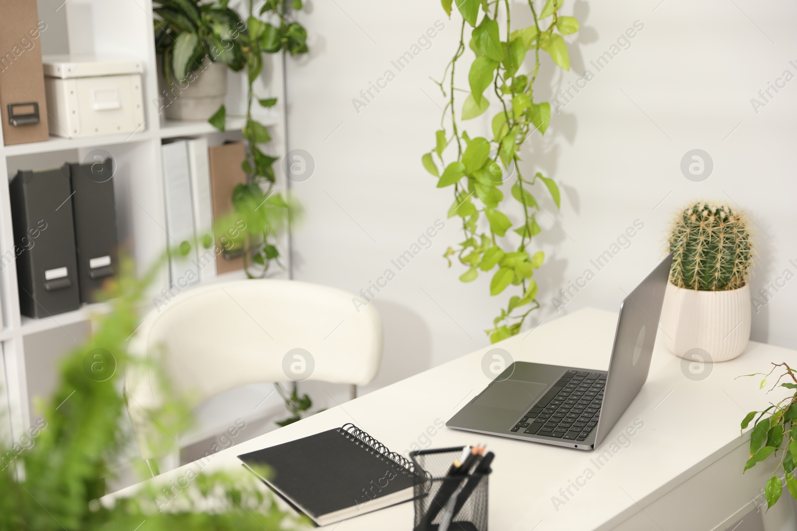 Photo of Stylish workplace with laptop, stationery and floral decor in office. Biophilic interior design