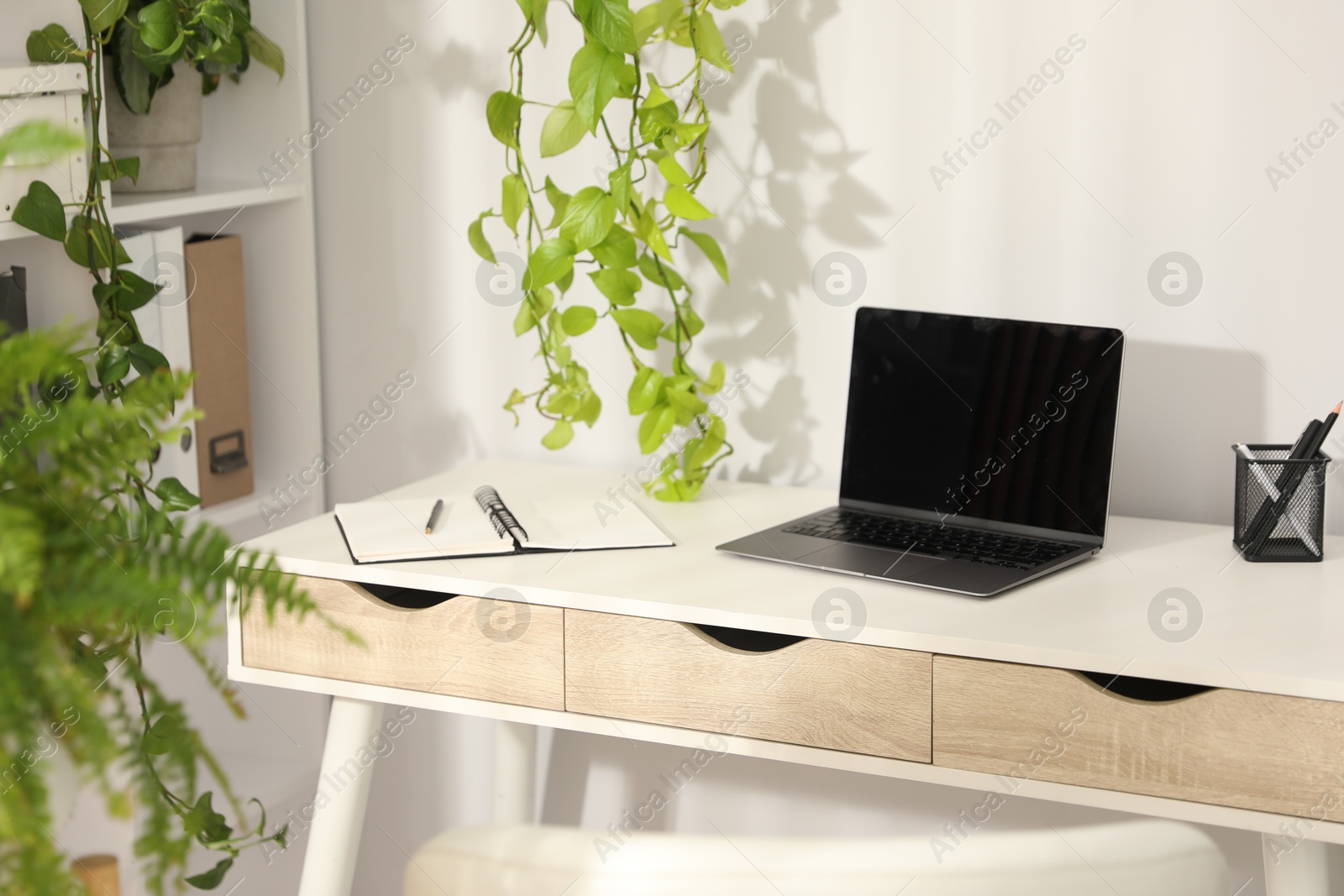 Stylish workplace with laptop, stationery and floral decor in office. Biophilic interior design Photo of Stylish workplace with laptop, stationery and floral decor in office. Biophilic interior design
