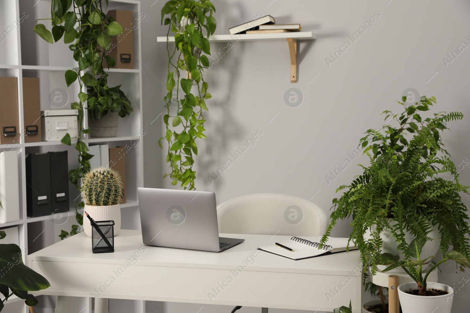 Stylish workplace with laptop, stationery and floral decor in office. Biophilic interior design Photo of Stylish workplace with laptop, stationery and floral decor in office. Biophilic interior design