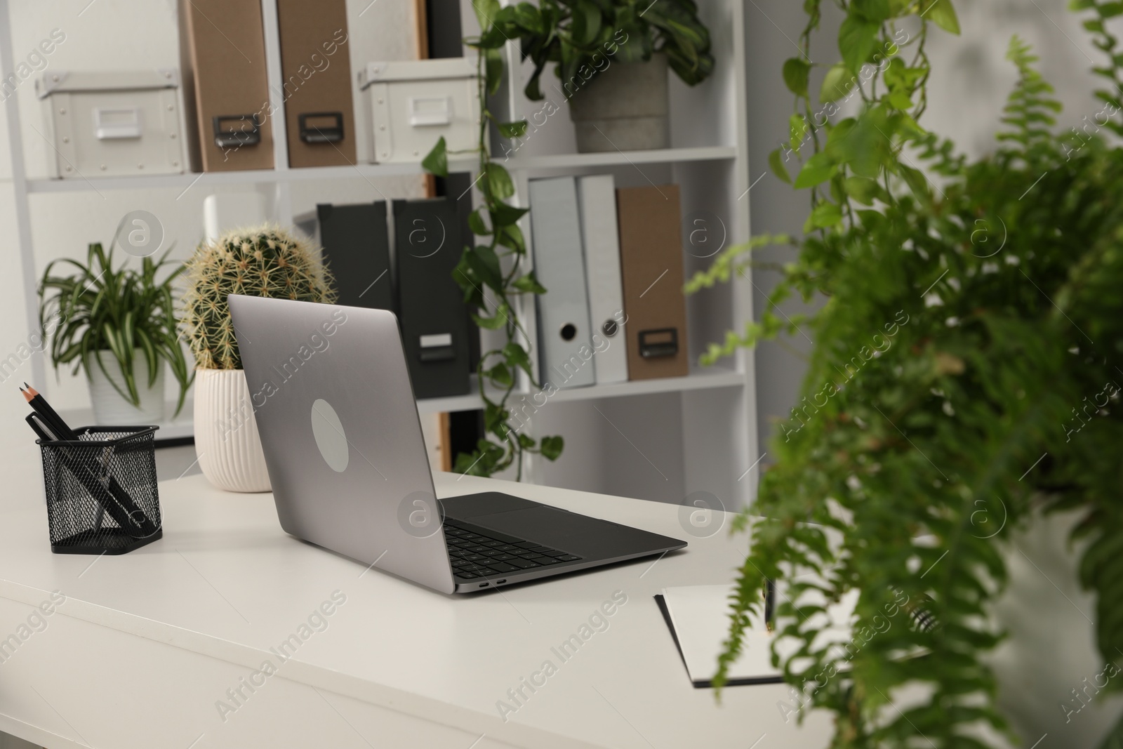 Stylish workplace with laptop, stationery and floral decor in office. Biophilic interior design Photo of Stylish workplace with laptop, stationery and floral decor in office. Biophilic interior design