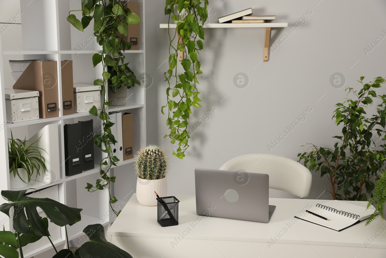 Stylish workplace with laptop, stationery and floral decor in office. Biophilic interior design Photo of Stylish workplace with laptop, stationery and floral decor in office. Biophilic interior design