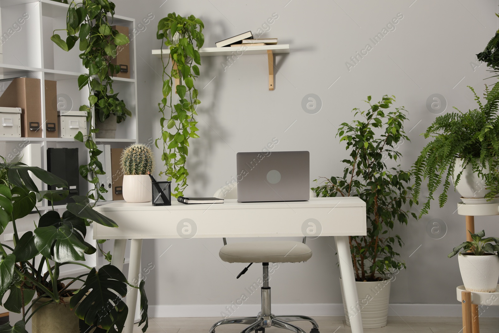Stylish workplace with laptop, stationery and floral decor in office. Biophilic interior design Photo of Stylish workplace with laptop, stationery and floral decor in office. Biophilic interior design