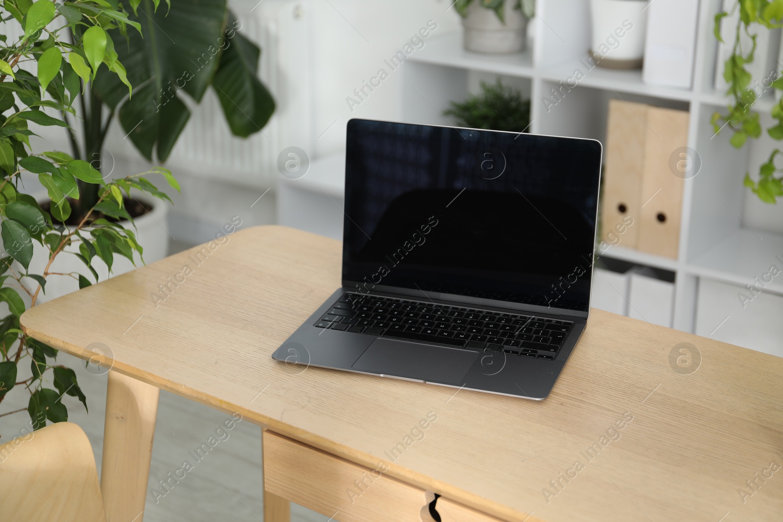 Stylish workplace with laptop and floral decor in office. Biophilic interior design Photo of Stylish workplace with laptop and floral decor in office. Biophilic interior design