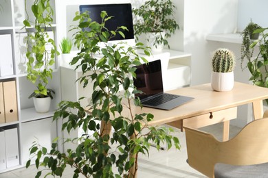Photo of Stylish workplace with laptop and floral decor in office. Biophilic interior design
