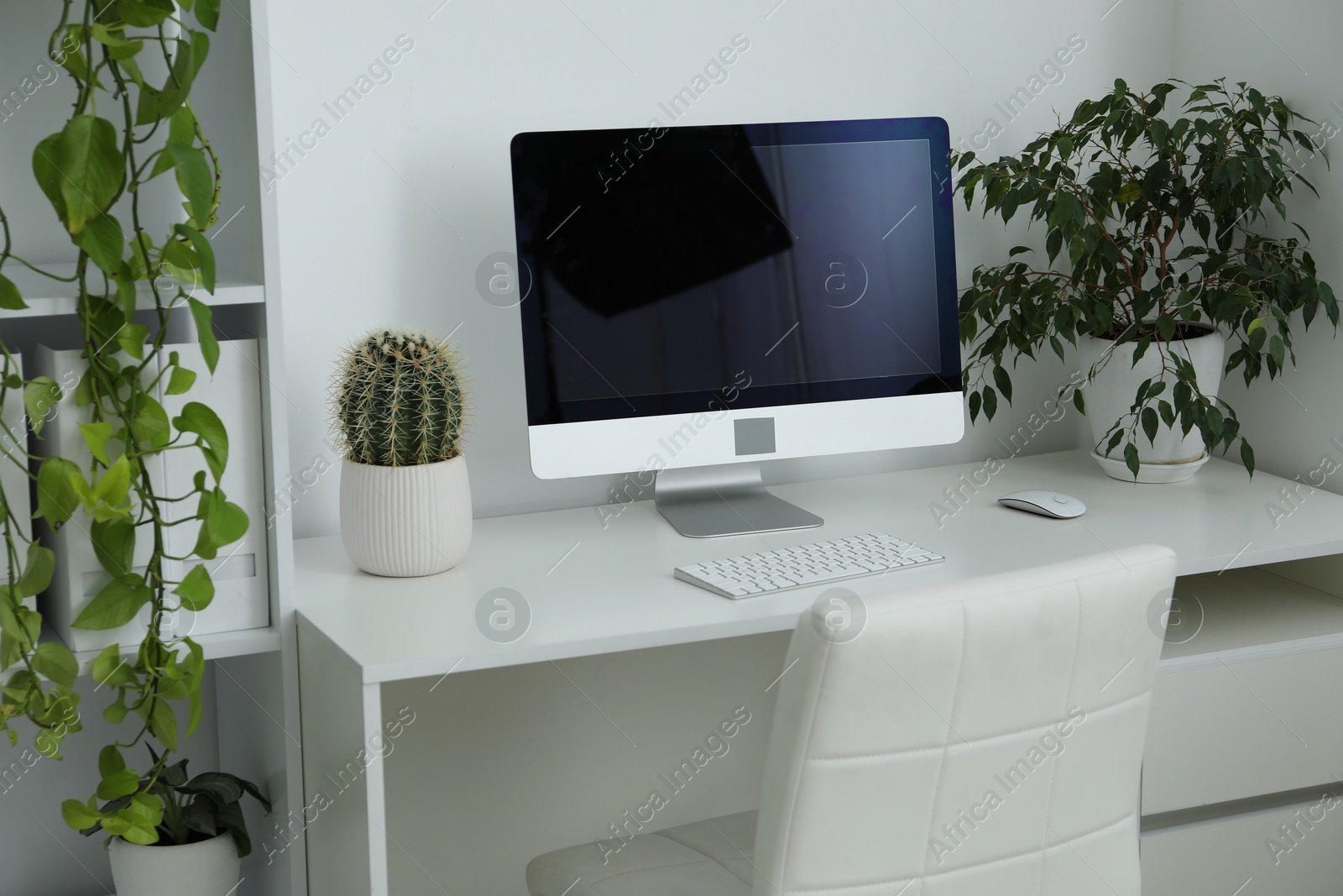 Stylish workplace with modern computer and floral decor in office. Biophilic interior design Photo of Stylish workplace with modern computer and floral decor in office. Biophilic interior design