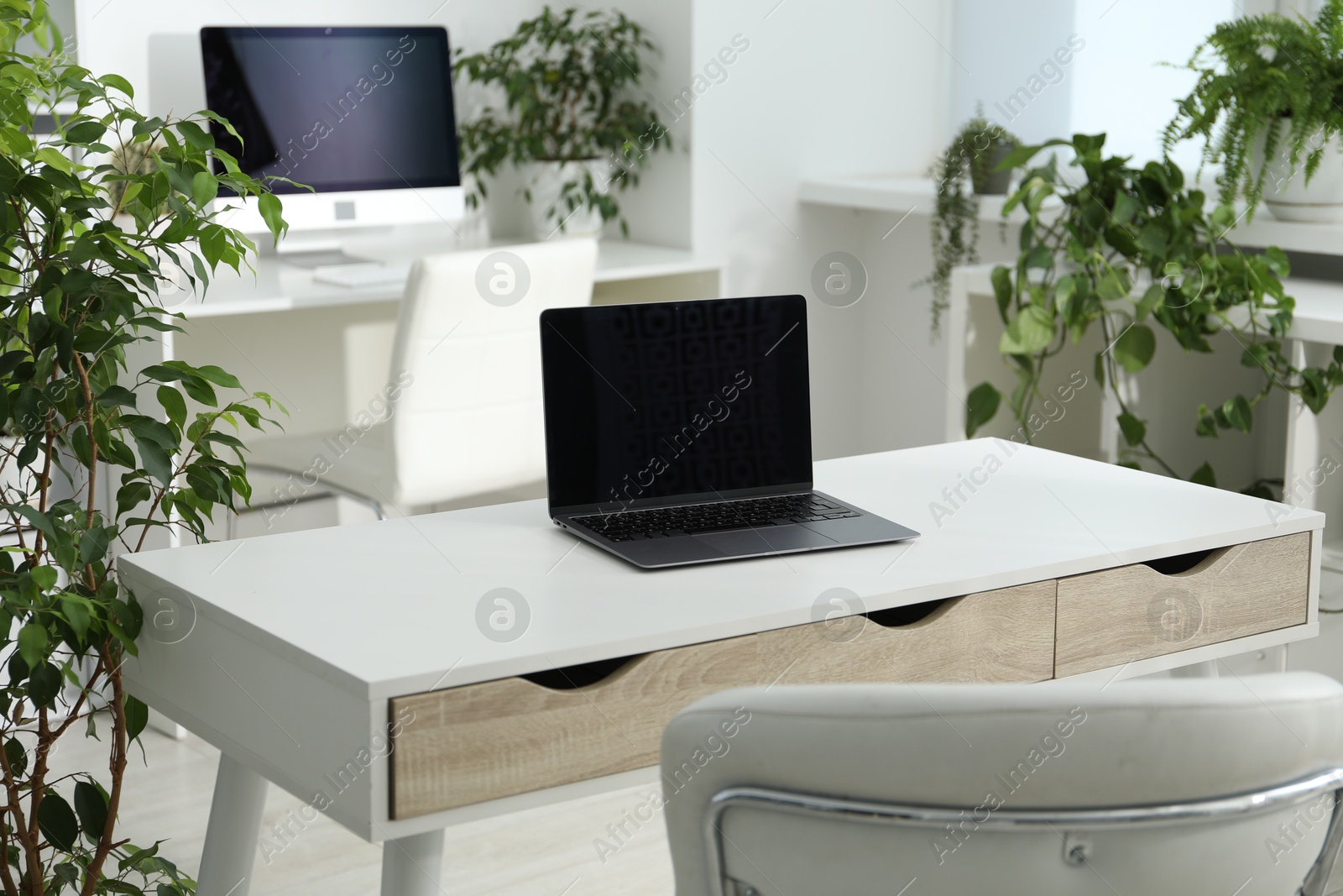 Stylish workplace with laptop, modern computer and floral decor in office. Biophilic interior design Photo of Stylish workplace with laptop, modern computer and floral decor in office. Biophilic interior design