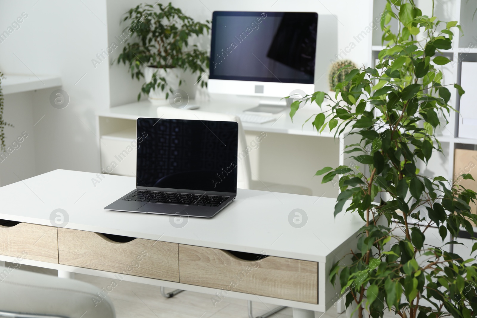 Stylish workplace with laptop, modern computer and floral decor in office. Biophilic interior design Photo of Stylish workplace with laptop, modern computer and floral decor in office. Biophilic interior design