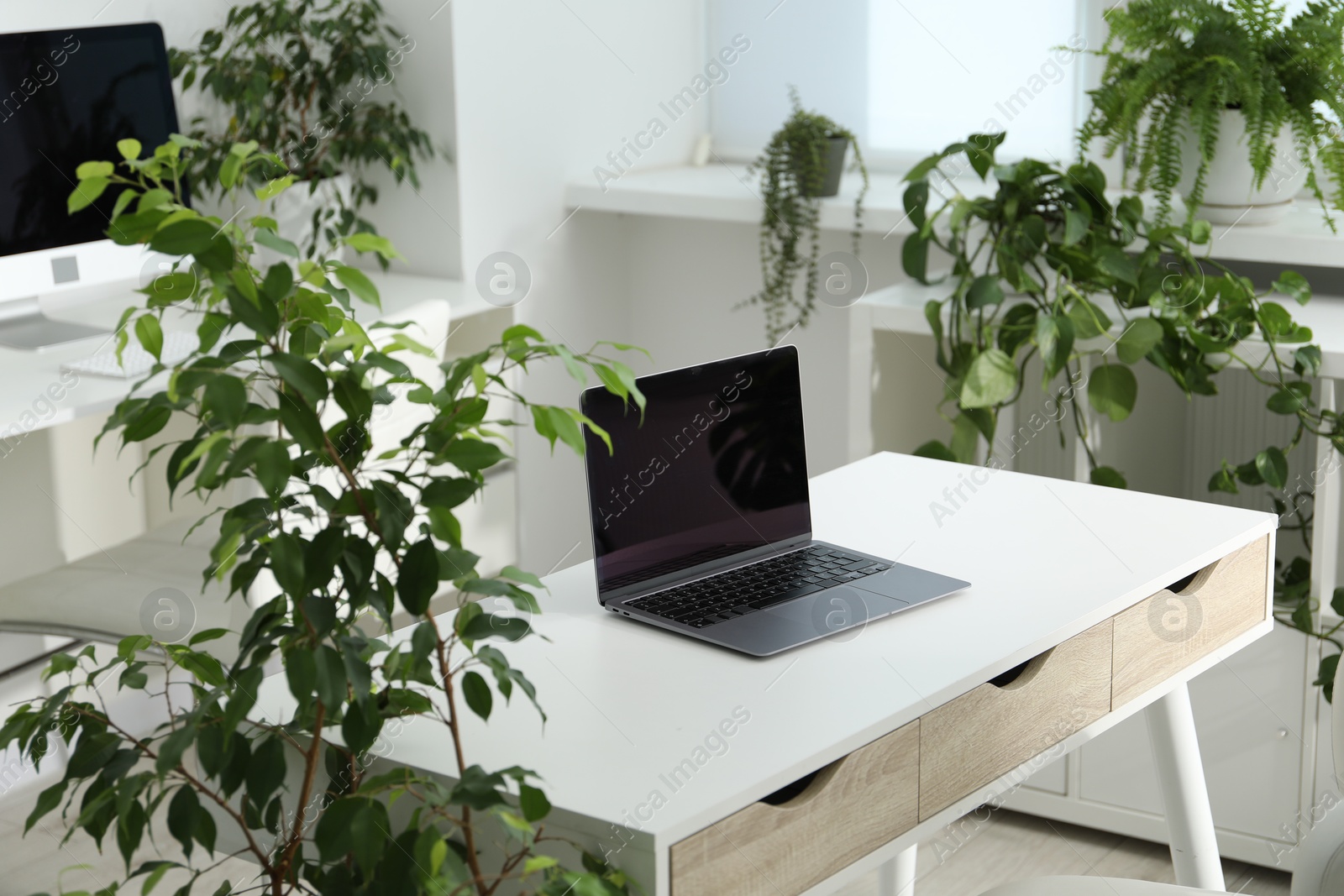 Stylish workplace with laptop, modern computer and floral decor in office. Biophilic interior design Photo of Stylish workplace with laptop, modern computer and floral decor in office. Biophilic interior design