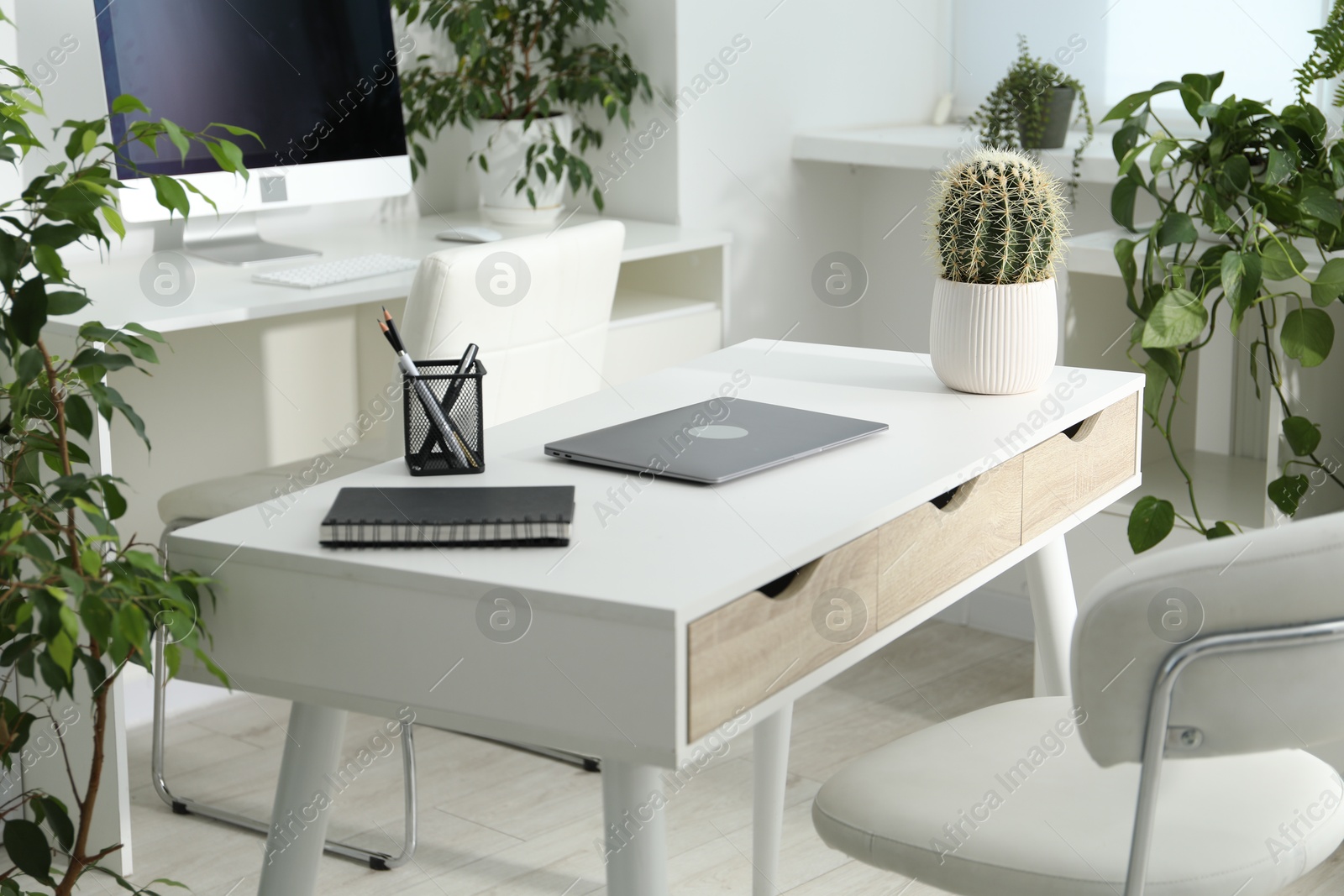 Stylish workplace with laptop, stationery and floral decor in office. Biophilic interior design Photo of Stylish workplace with laptop, stationery and floral decor in office. Biophilic interior design