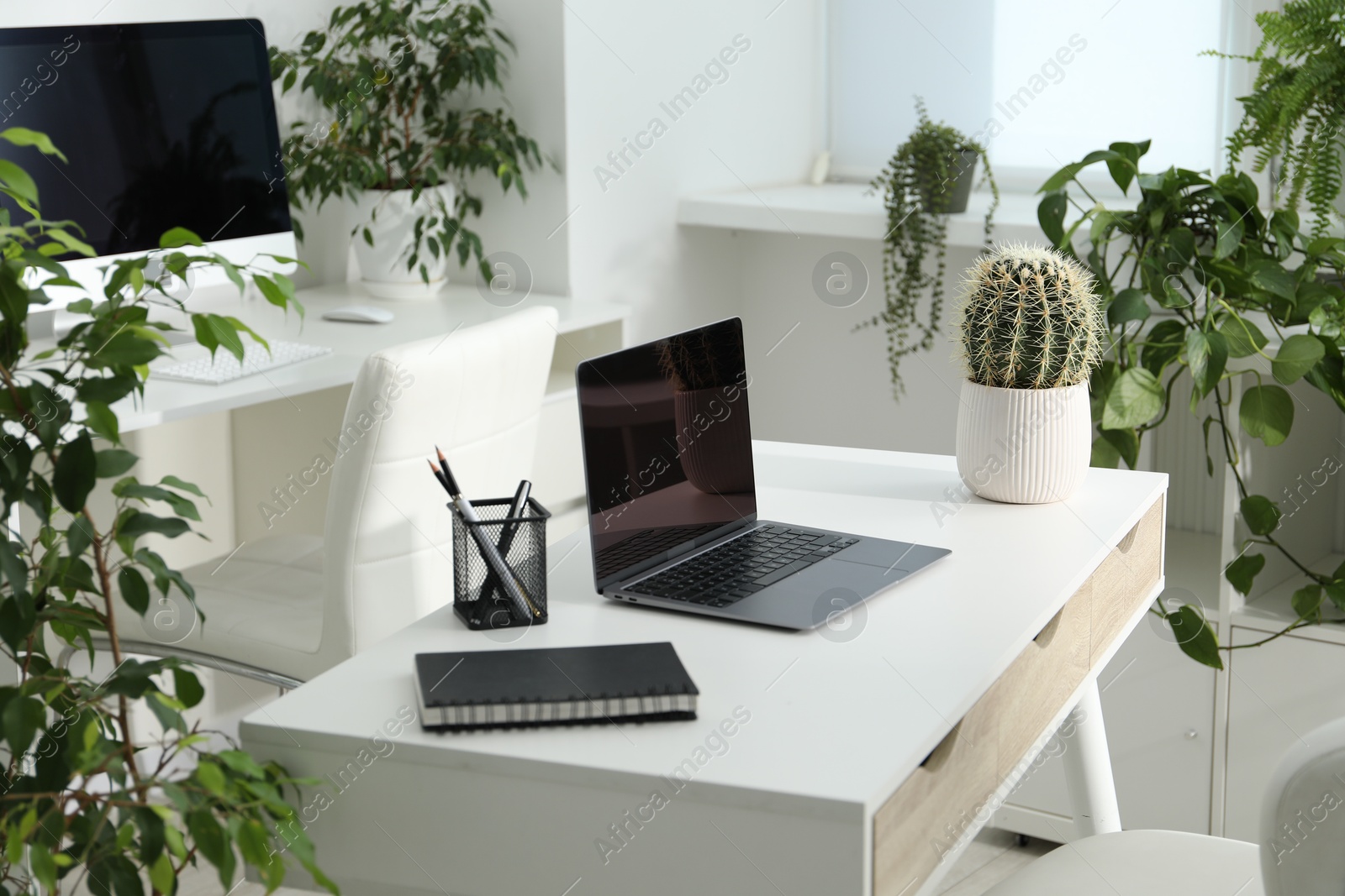 Stylish workplace with laptop, stationery and floral decor in office. Biophilic interior design Photo of Stylish workplace with laptop, stationery and floral decor in office. Biophilic interior design
