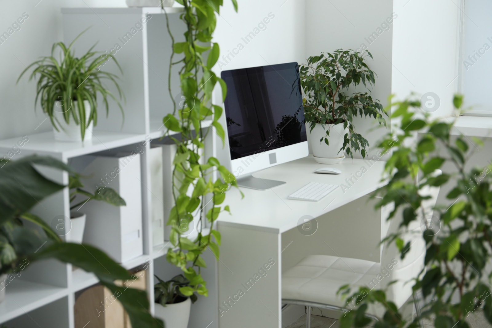 Photo of Stylish workplace with modern computer and floral decor in office. Biophilic interior design