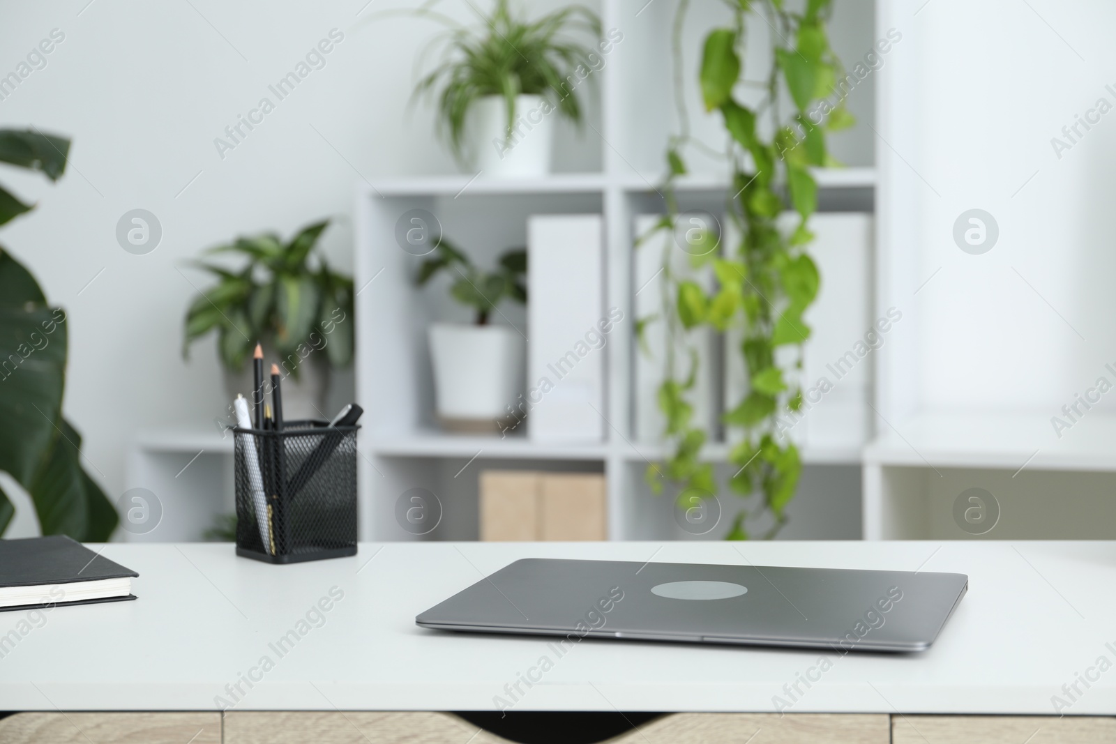 Stylish workplace with laptop, stationery and floral decor in office. Biophilic interior design Photo of Stylish workplace with laptop, stationery and floral decor in office. Biophilic interior design