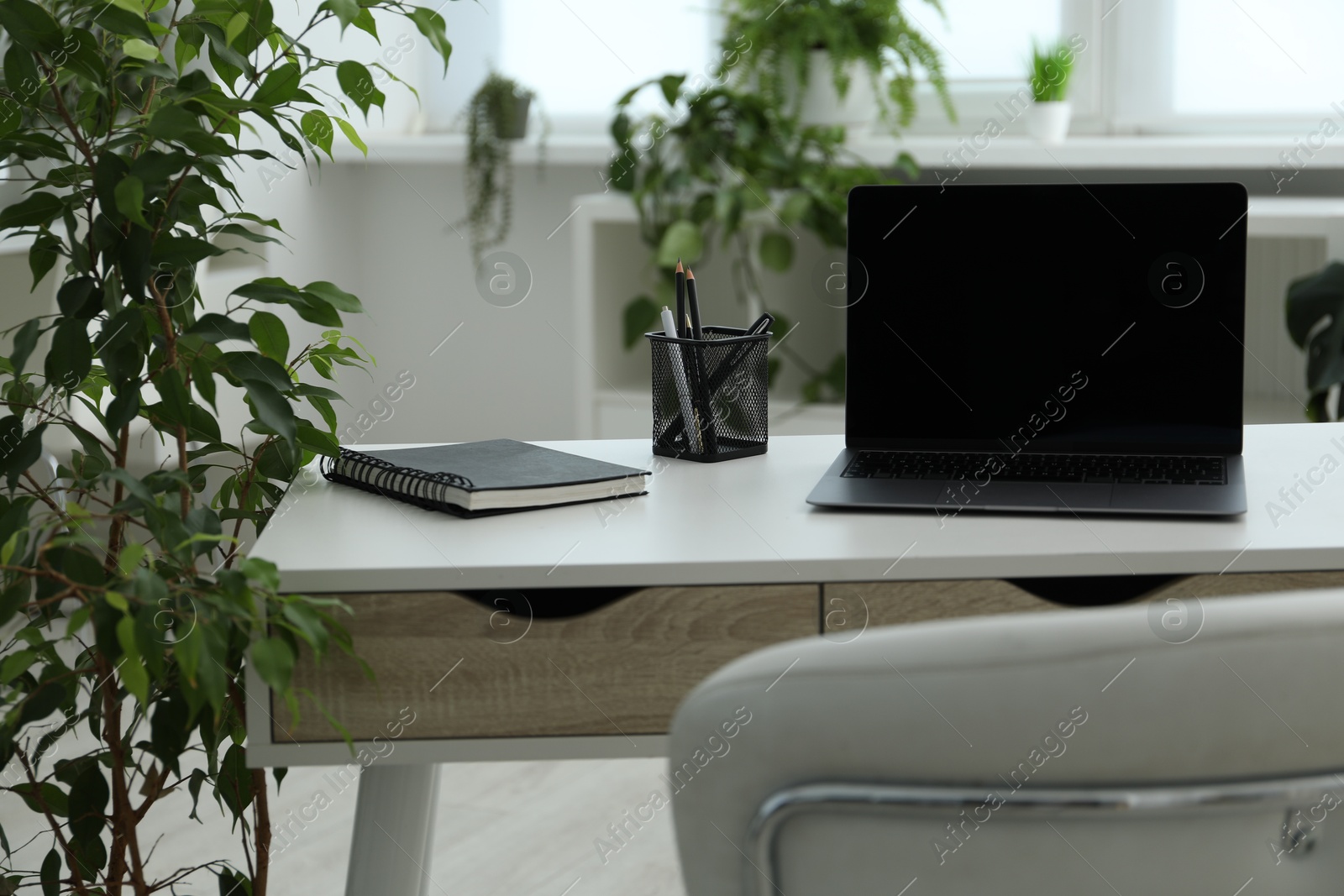 Stylish workplace with laptop, stationery and floral decor in office. Biophilic interior design Photo of Stylish workplace with laptop, stationery and floral decor in office. Biophilic interior design