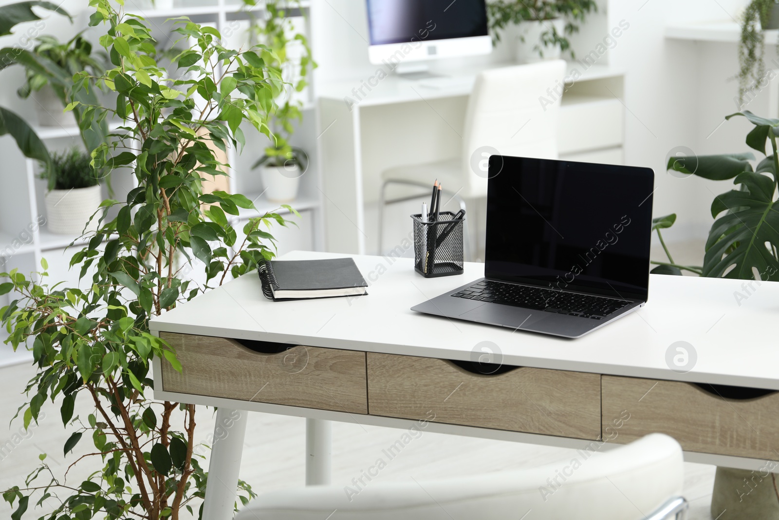 Photo of Stylish workplace with laptop, stationery and floral decor in office. Biophilic interior design