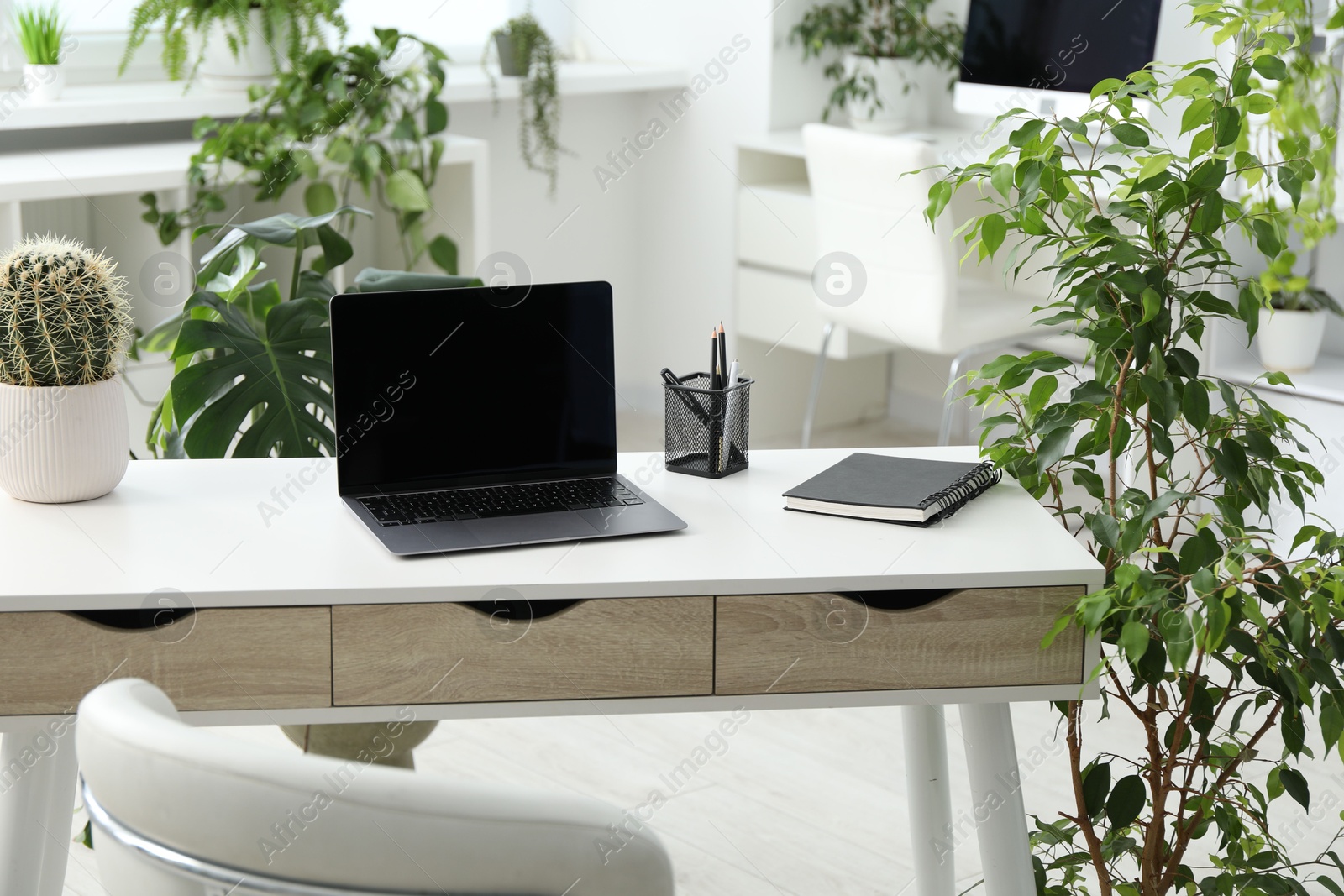 Stylish workplace with laptop, stationery and floral decor in office. Biophilic interior design Photo of Stylish workplace with laptop, stationery and floral decor in office. Biophilic interior design