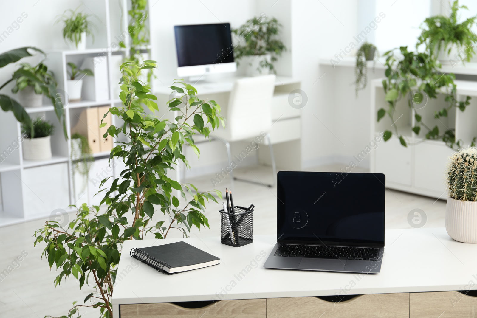 Photo of Stylish workplace with laptop, stationery and floral decor in office. Biophilic interior design