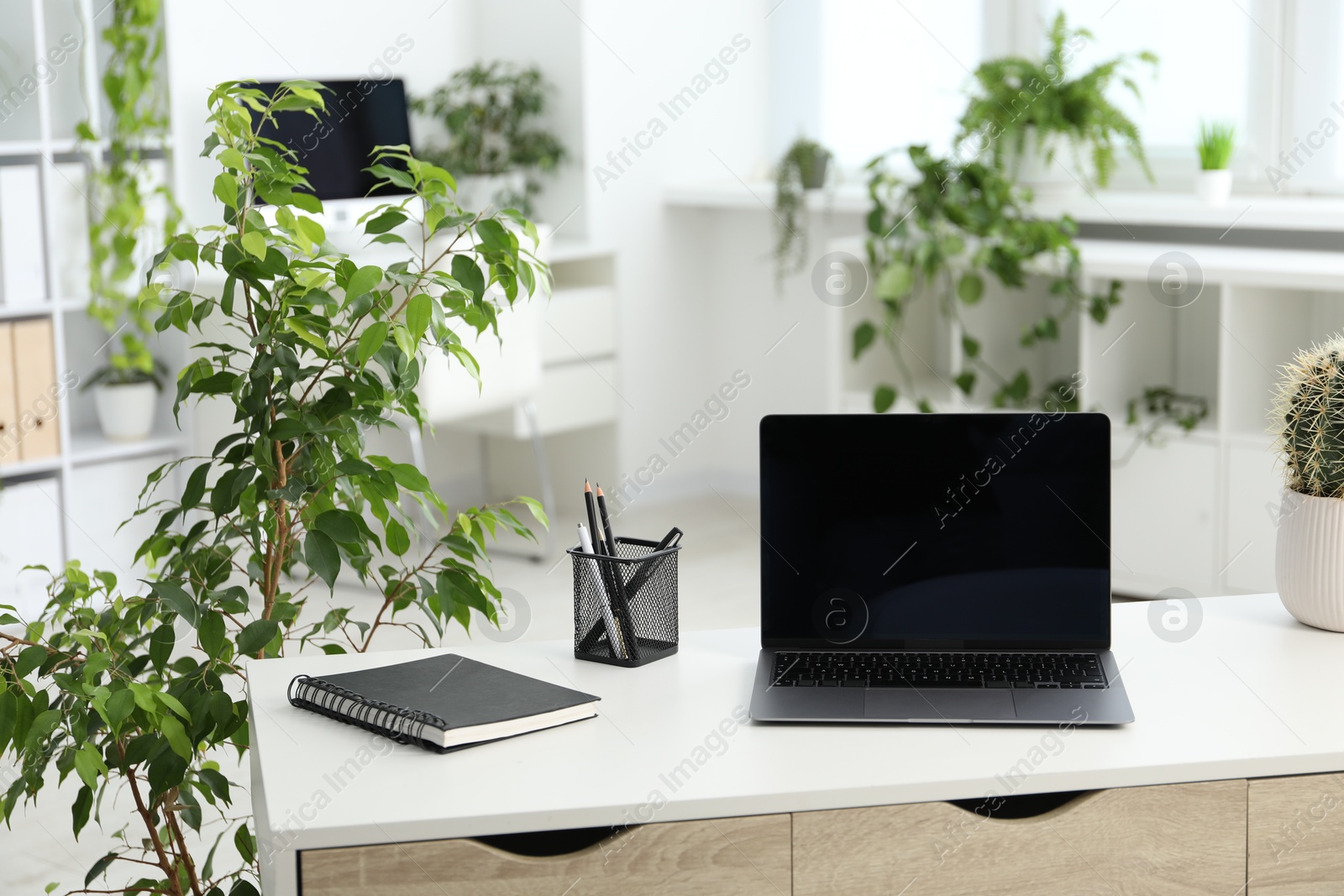 Stylish workplace with laptop, stationery and floral decor in office. Biophilic interior design Photo of Stylish workplace with laptop, stationery and floral decor in office. Biophilic interior design