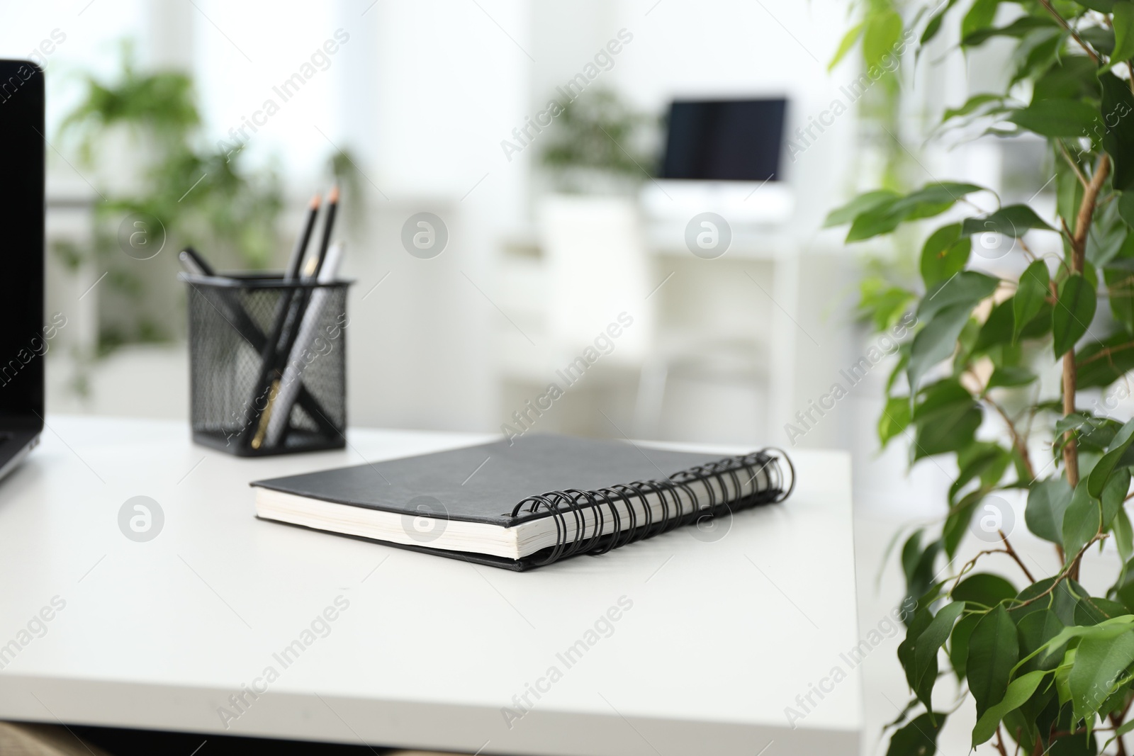 Stylish workplace with stationery and floral decor in office, closeup. Biophilic interior design Photo of Stylish workplace with stationery and floral decor in office, closeup. Biophilic interior design