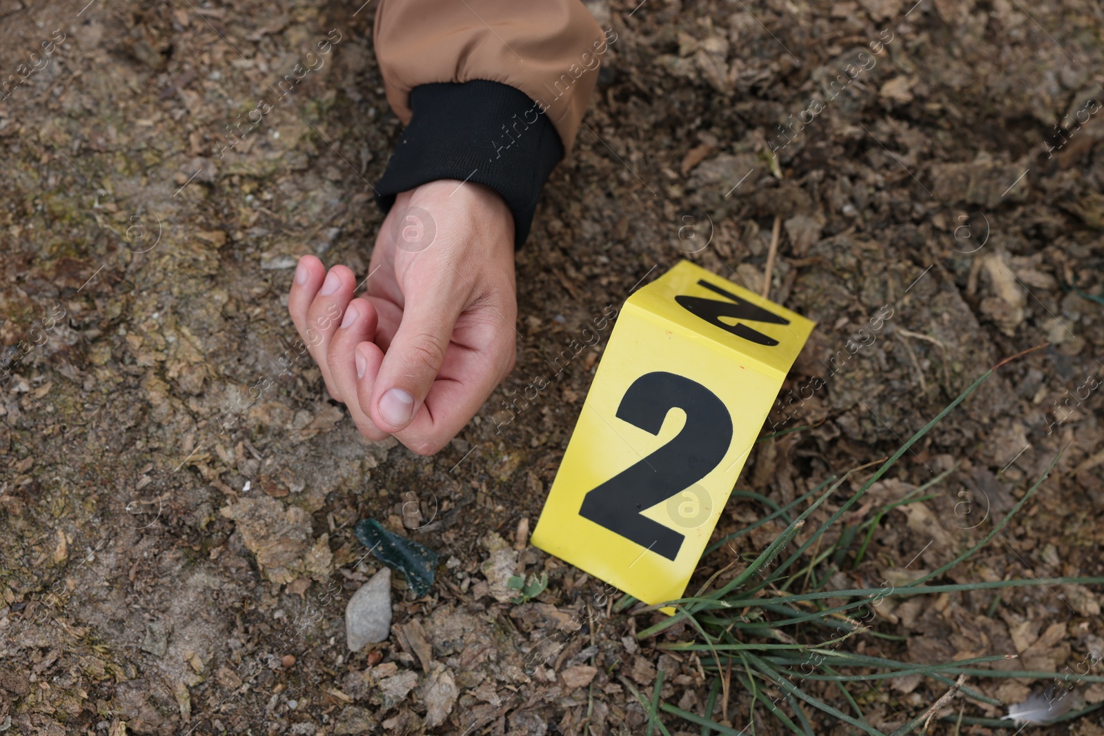 Photo of Forensic expertise. Crime scene with dead man's body and marker outdoors, top view