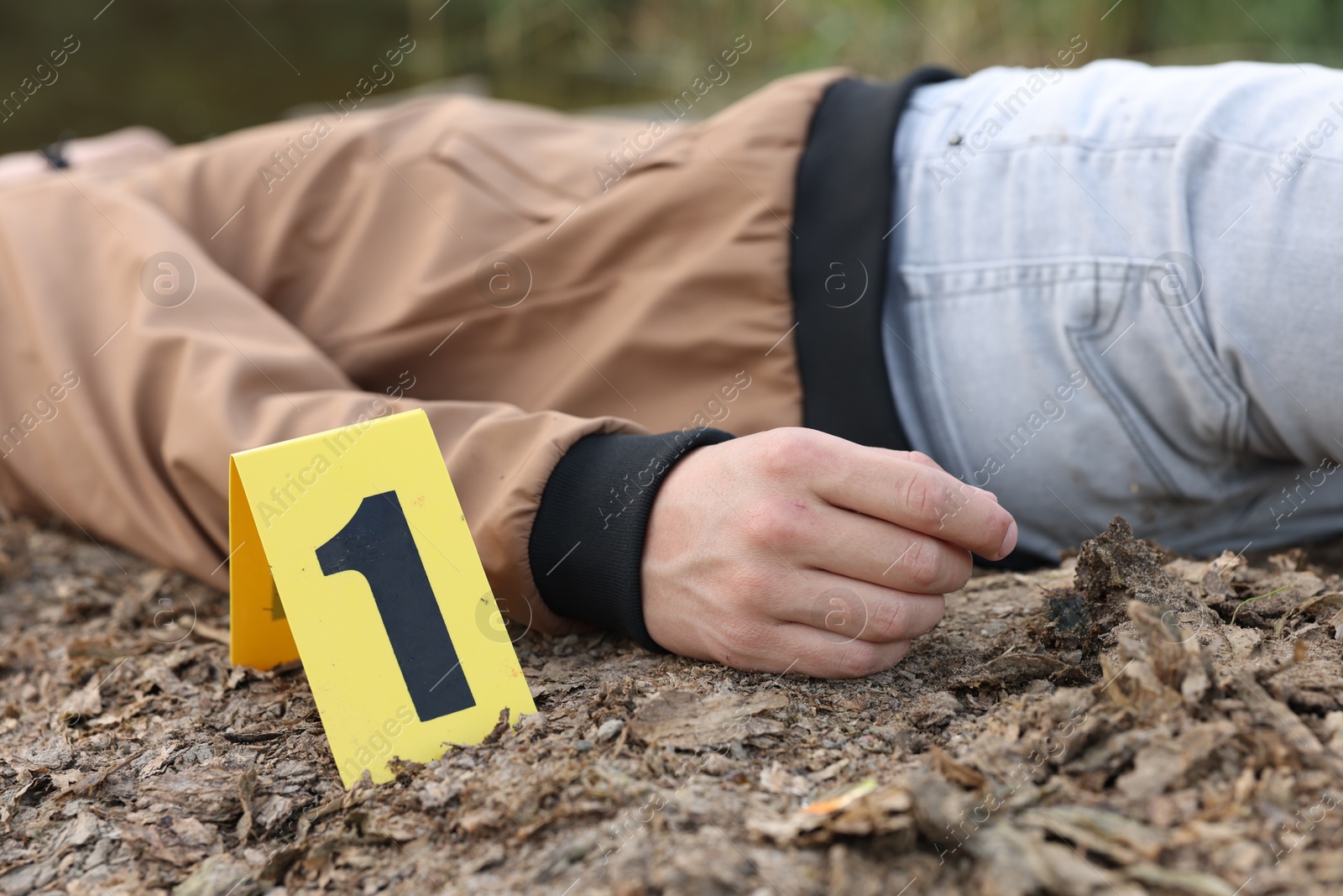 Photo of Forensic expertise. Crime scene with dead man's body and marker outdoors, closeup