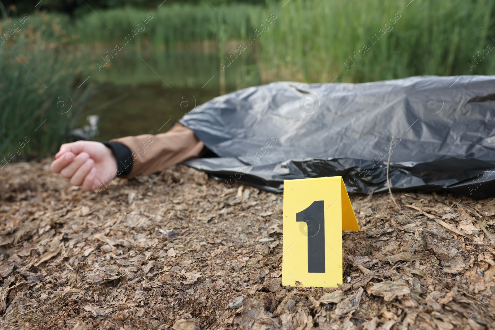 Photo of Forensic expertise. Crime scene with dead man's body and marker near lake outdoors, selective focus