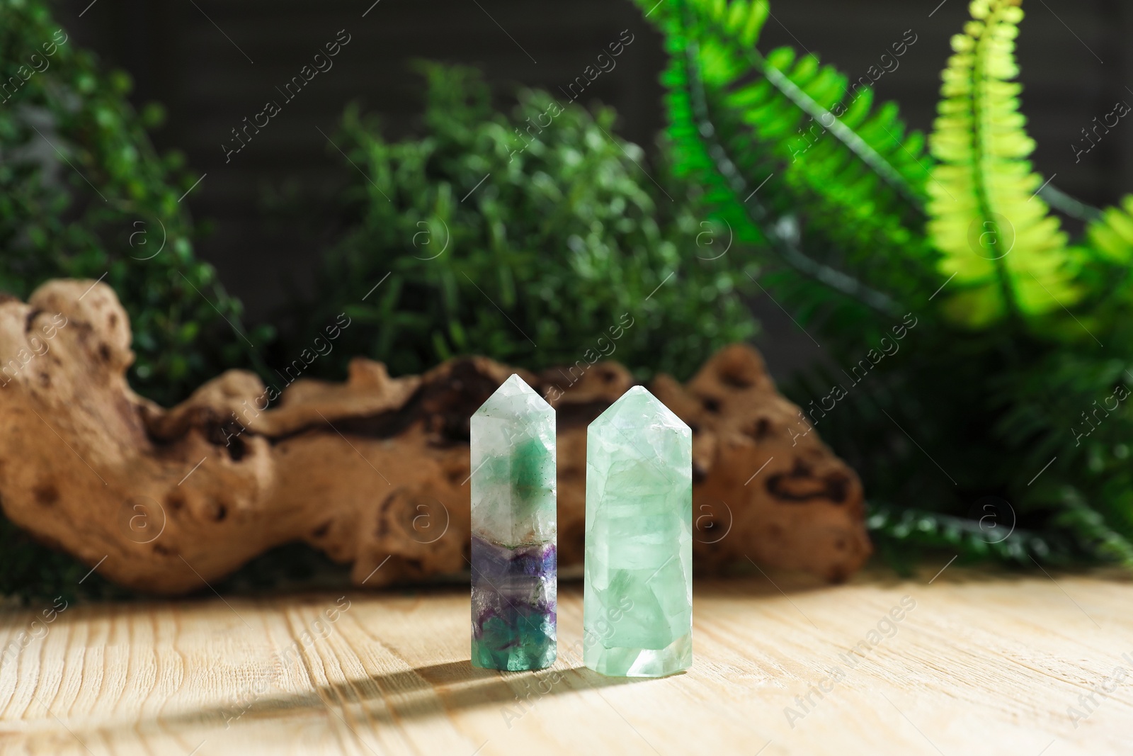 Photo of Aura. Beautiful crystals, driftwood and green plants on wooden surface