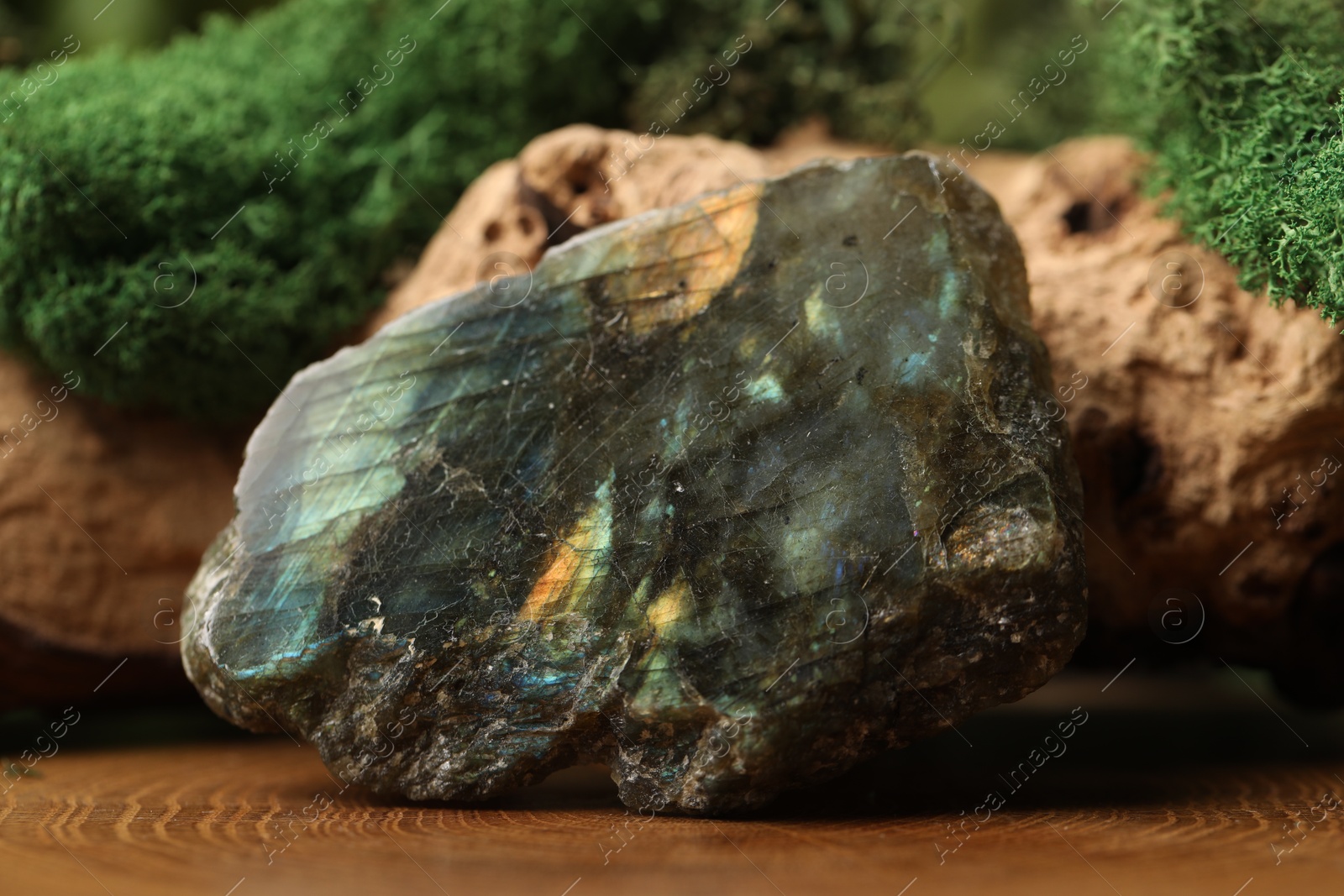Photo of Aura. Beautiful labradorite and driftwood with moss on stump, closeup