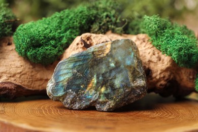 Photo of Aura. Beautiful labradorite and driftwood with moss on stump, closeup