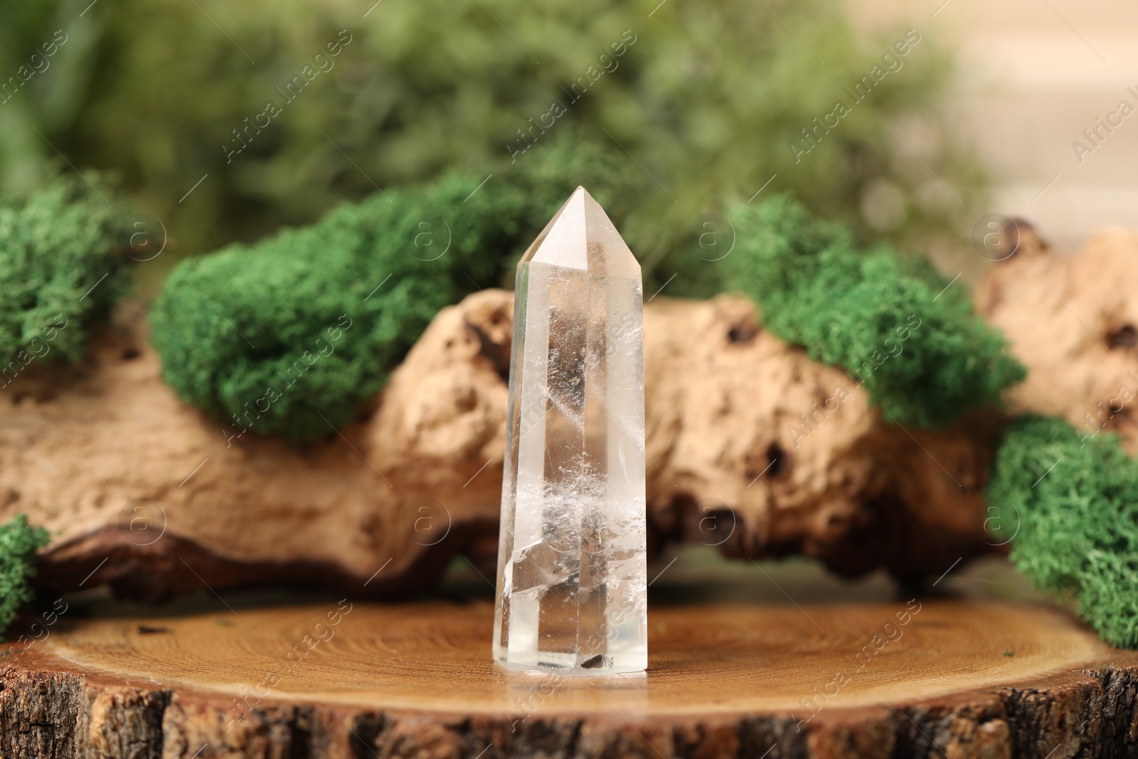 Photo of Aura. Beautiful crystal and driftwood with moss on stump
