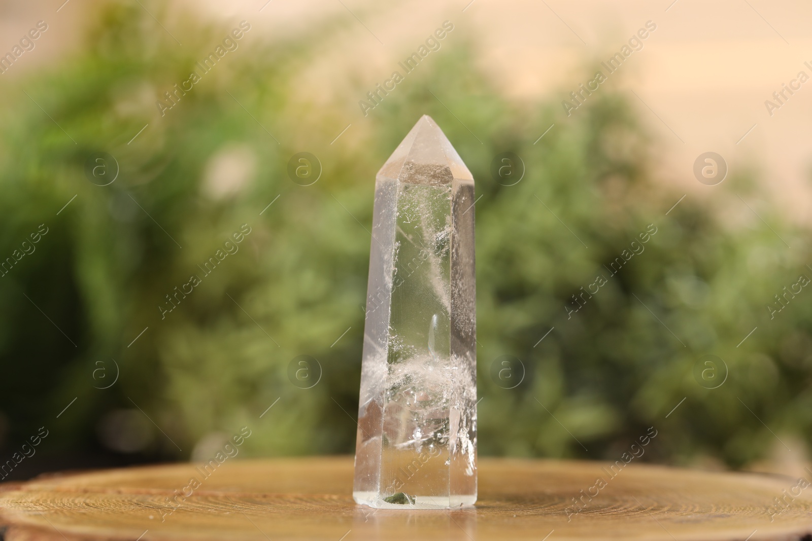 Photo of Aura. Beautiful crystal on stump against blurred background