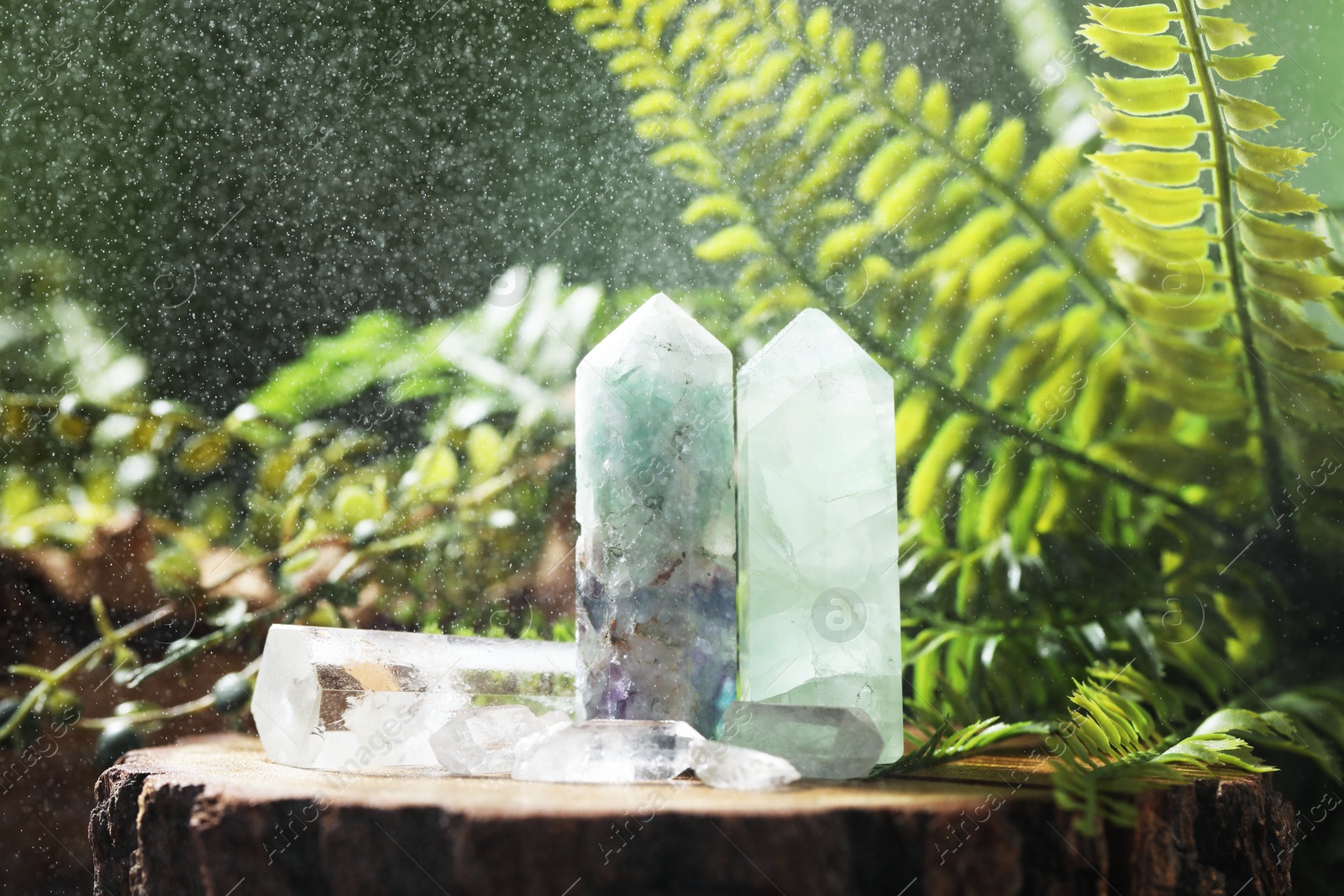 Photo of Aura. Beautiful crystals on stump and green plants outdoors