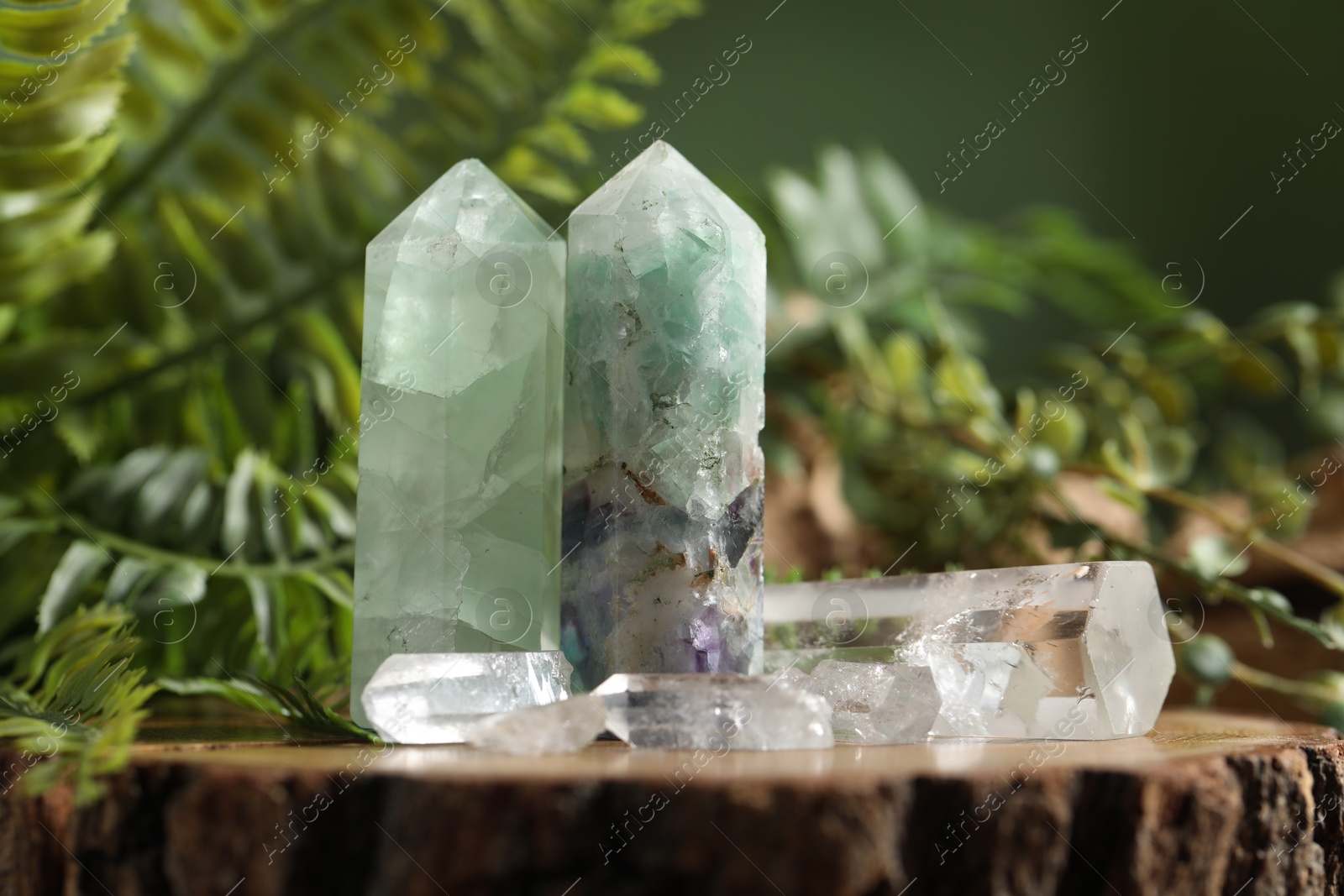 Photo of Aura. Beautiful crystals on stump and green plants against blurred background, closeup
