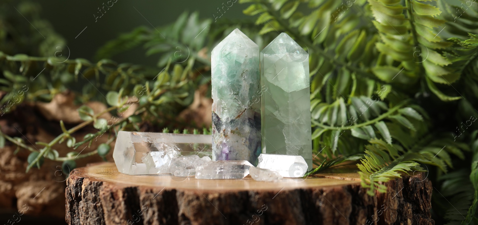 Photo of Aura. Beautiful crystals on stump and green plants against blurred background, closeup