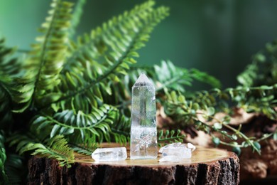 Photo of Aura. Beautiful crystals on stump and green plants against blurred background