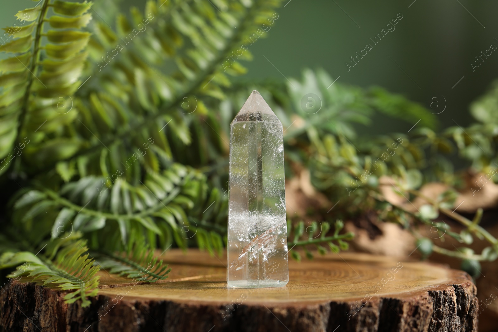 Photo of Aura. Beautiful crystal on stump and green plants against blurred background