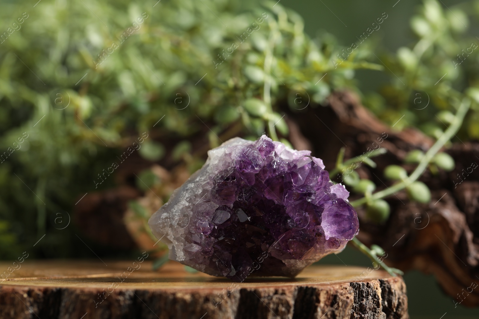 Aura. One beautiful amethyst on stump outdoors Photo of Aura. One beautiful amethyst on stump outdoors