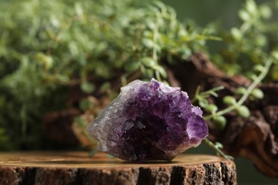 Photo of Aura. One beautiful amethyst on stump outdoors