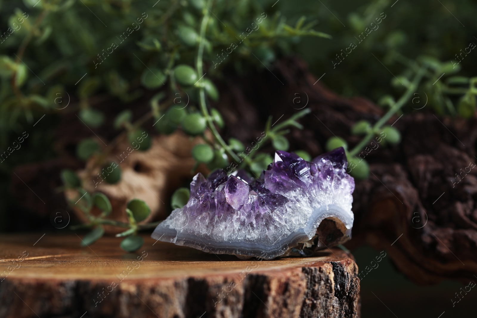 Aura. One beautiful amethyst on stump outdoors Photo of Aura. One beautiful amethyst on stump outdoors