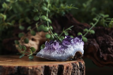 Photo of Aura. One beautiful amethyst on stump outdoors