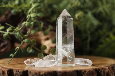 Photo of Aura. Beautiful crystals on stump and green plants against blurred background