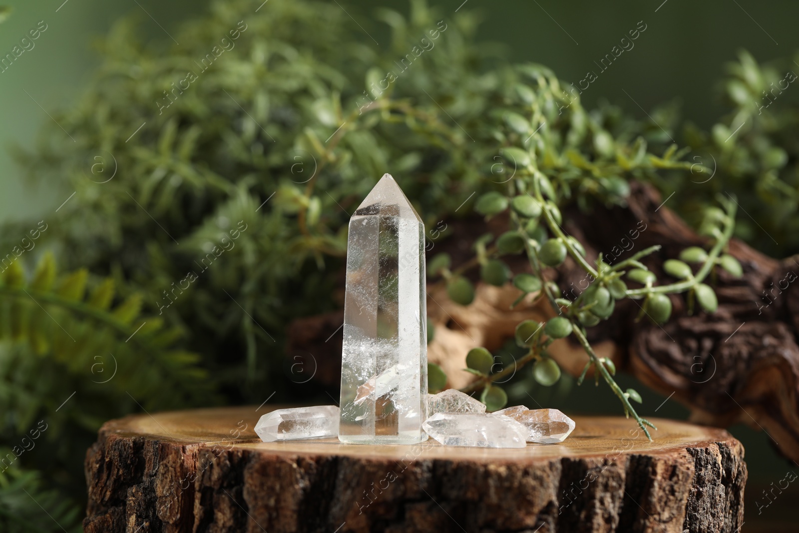 Photo of Aura. Beautiful crystals on stump, driftwood and green plants against blurred background