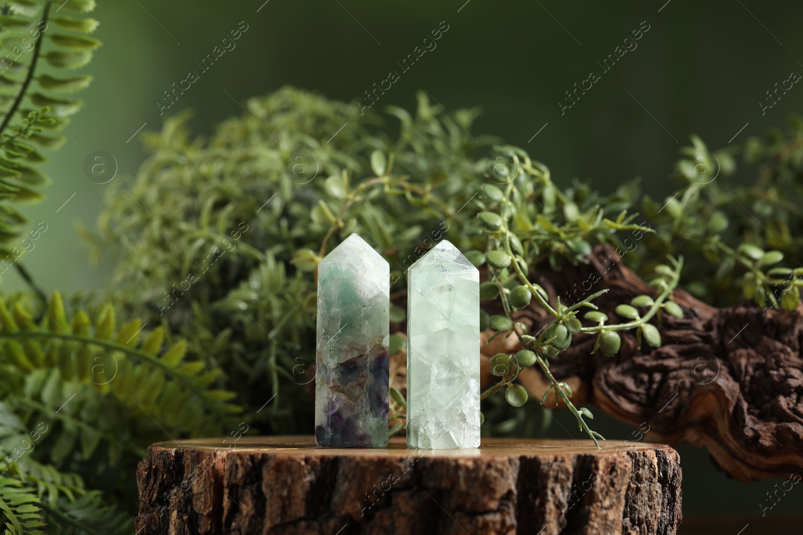 Photo of Aura. Beautiful crystals on stump, driftwood and green plants against blurred background