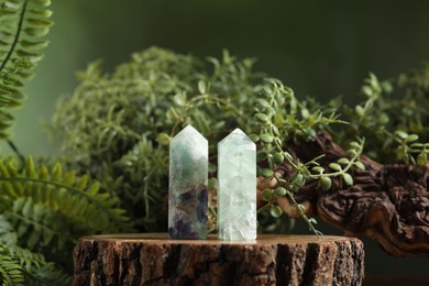 Photo of Aura. Beautiful crystals on stump, driftwood and green plants against blurred background