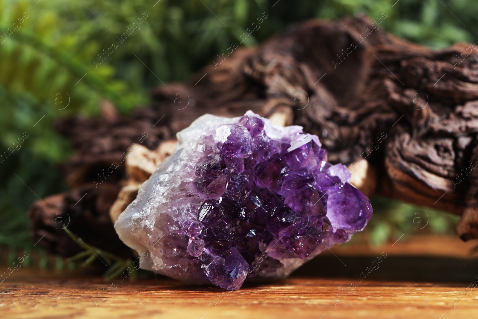 Photo of Aura. Beautiful amethyst and driftwood on wooden surface against blurred green background