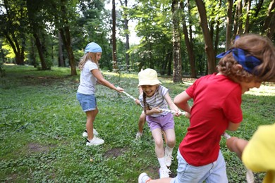 Photo of Cute little kids playing tug of war in park