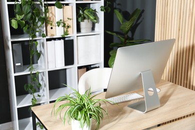 Photo of Stylish workplace with modern computer and floral decor in office. Biophilic interior design
